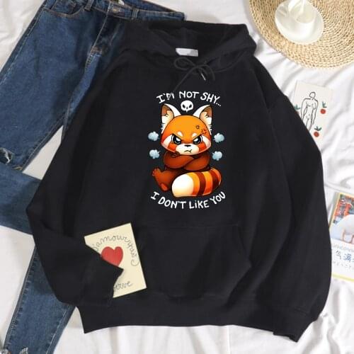 I'm not shy i don't like you Printing Womens Hoodies hip hop Loose Hoodie Autumn Fleece Hoody Harajuku Crewneck Streetwear Men