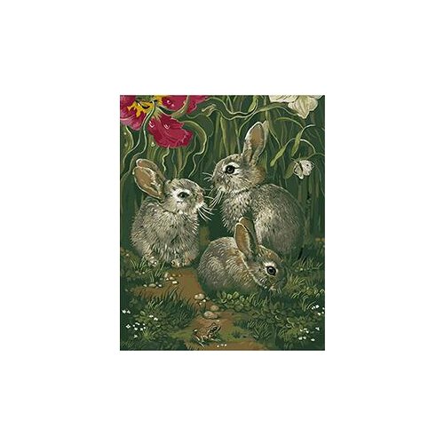 MaHuaf-W512 hares DIY oil painting by numbers on canvas hand painted picture 40x50cm Framed for home decor