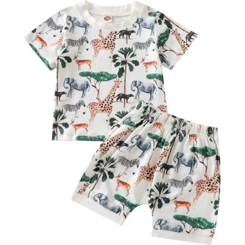 Little Boy’s T-shirt and Shorts Set Cartoon Tropical Animal Short Sleeve/Sleeveless Tops and Short Pants