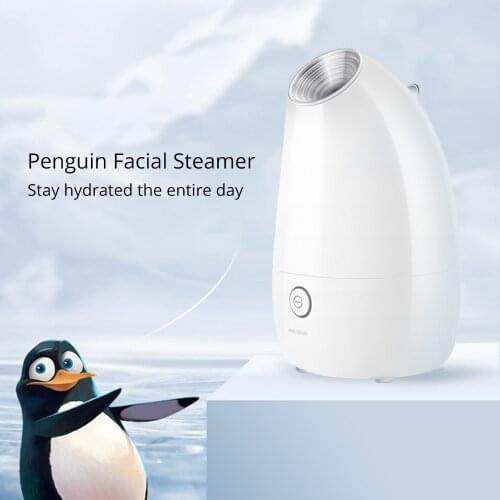 Water replenishing and skin Care Steamer Home Use System Nano Ionic Hot Mist
