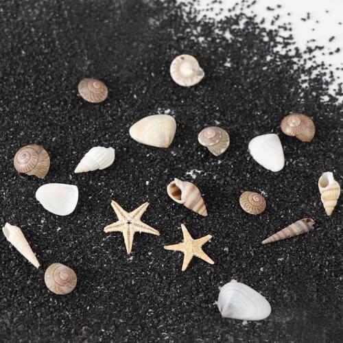 1/2/5 Box 3D Natural Nail Art Decoration Mini Conch Shells Starfish Sea Beach Ornaments Manicure Tools For DIY Craft Accessories