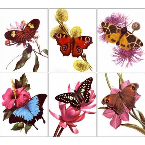 KAMY YI Animals Butterflies Flowers Diamond Painting Cross Stitch 5D Diy Full Diamond Embroidered Mosaic Art Home Decoration