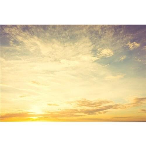 SHENGYONGBAO Vinyl Custom Photography Backdrops Props Desert theme Photo Studio Background S20033-13