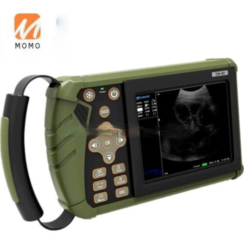 New design DW-VET6 horse and cattle equipment, ultrasound pregnancy test for veterinary