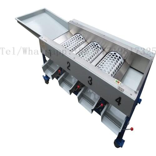 Fruit classifier sorting machine fruit picking machine 3 size 4 type Citrus Fruit Orange Size Sorting Machine