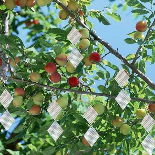 8PCS Garden Bird Repellent Tape Anti Bird Reflective Deterrent Hanging Bird Scare Repeller Pest Control Laser Reflective Circle