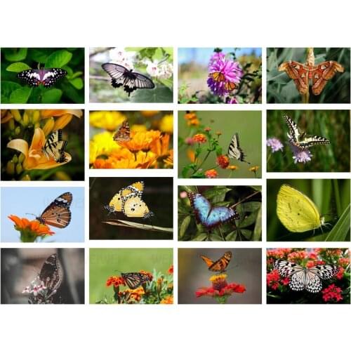 Beautiful Butterfly Natural Bio Diamond Painting Flower Home Decoration Wall Picture Handmade Mosaic Patch Diamond Embroidery