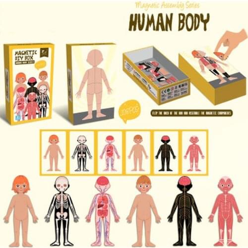 Magnetic human body Puzzles Puzzles for DIY Puzzle Each Piece is Changeable Puzzles Christmas Gifts for Kids Jigsaw Boxed