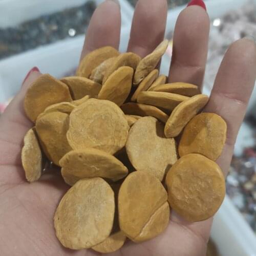 100g Rare Beautiful Natural Fossil Rough Stone Biscuits Shape Crystal Healing Specimen Minerals Home Desk Aquarium Decoration