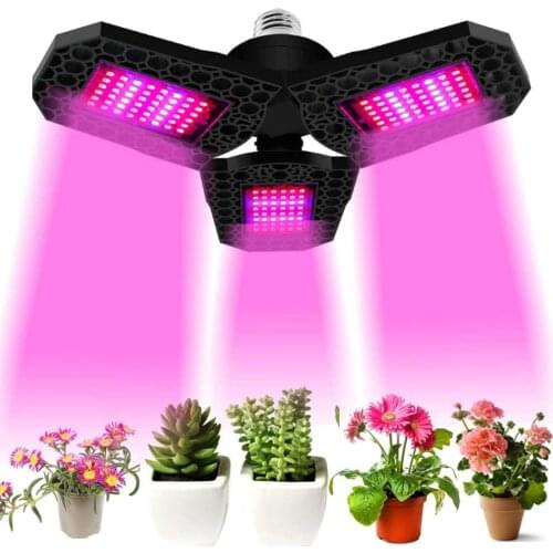 LED Plant Lamps Ligghig China