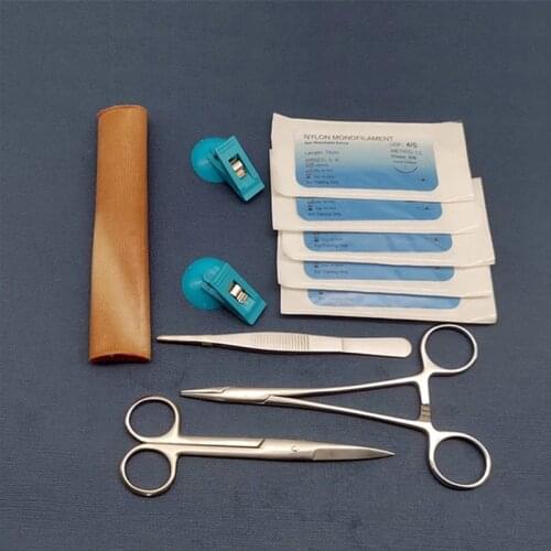 Medical Silicone Intestinal suture practice surgery suture silicone model pad kit