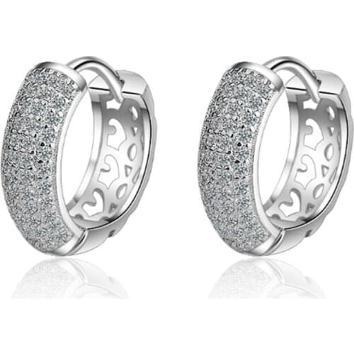 New atmosphere luxury fashion trend cute wild double row crystal female models silver plated ear rings YE039