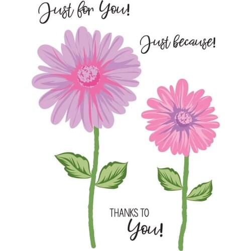 Barberton Daisy Flower Metal Cutting Dies Matching Clear Silicone Stamp Crafts Card Album Making Scrapbooking DIY Stencil 2020