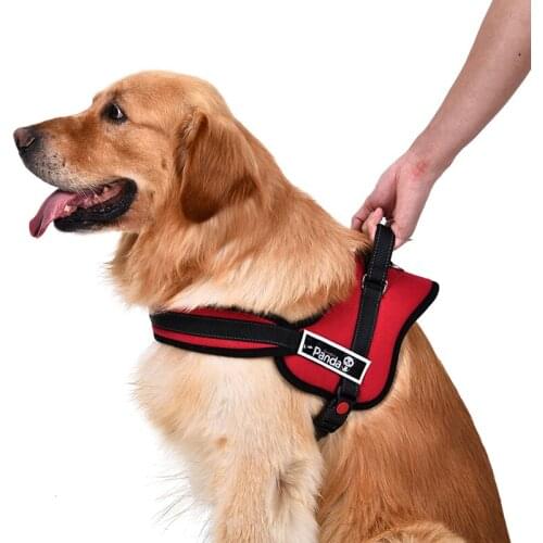 Speedy pet Harnesses