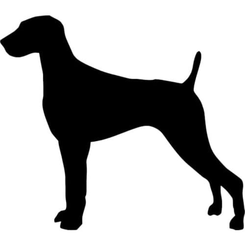 12.7*11.2CM funny sticker New arrival Weimaraner Dog Vinyl Decal Waterproof Reflective window Stickers toy Styling Decoration