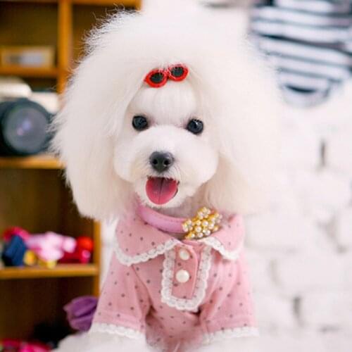 10 Pcs Pet Kitten Dog Glasses Hair Clip Headdress Cute Decorative Sunglasses Kits Photo Props Dog Cat Accessories, Mixed Color