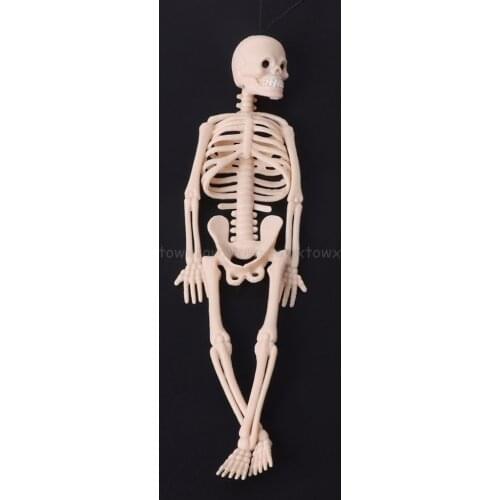 Skeleton Human Model Skull Full Body Mini Figure Toy Phone Hanger Halloween N15 19 Dropship