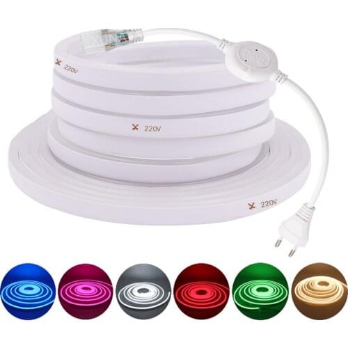 LED Neon Light 220V 120LED/M 2835 flex led neon strip Power Plug Outdoor Decorative Tape 1M/2M/3M/4M/5M/10M/15M/20M/25M/100M