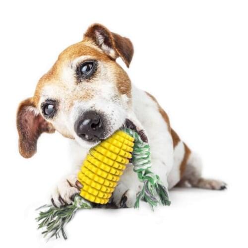 Dog Chew Toys, Pet Teeth Cleaning Stick Dog Dental Oral Care Toy, Corn Molar Stick with Rope