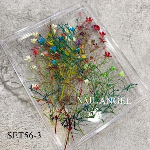 1Set Nail art Dry flower Decoration Nail Art Deco Dry Flower