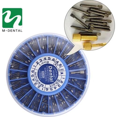 120pcs/set Stainless Steel Dental Screw Posts Dental Supplies Silver Dental Screw Posts Dental Material For Teeth Whitening