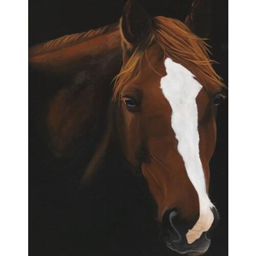 Diamond Embroidery Anmial Cross Stitch DIY Diamond Painting Horse Diamond Mosaic Rhinestones Home Decor