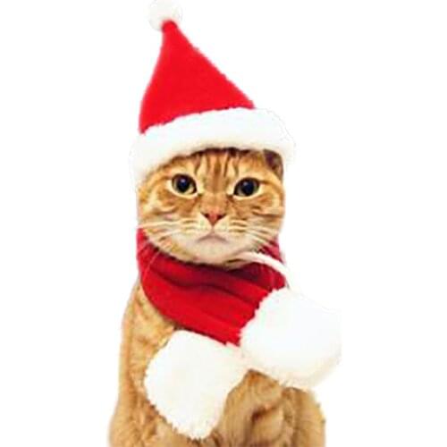 Halloween Pets Hat Headwear Horns Scarf Cape Headband Furry Costume Cat Accessories Christmas Dress for Dogs or Cats S/L/M