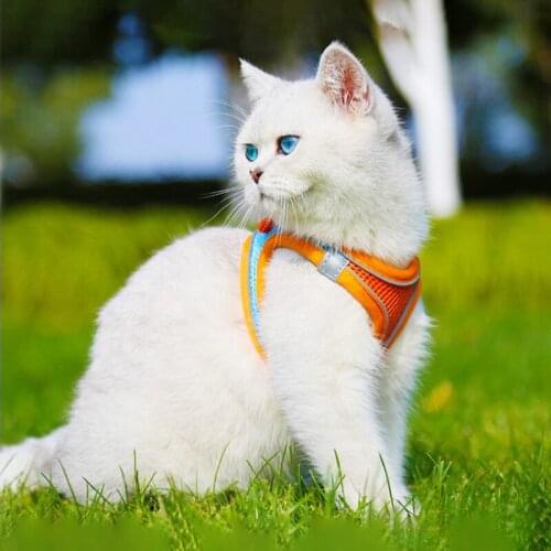 Reflective Adjustable Cat Harness Vest Walking Straps For Cat Lead Leash Kitten Dog Puppy Leads Pet Chest Harness Leash Chest Se