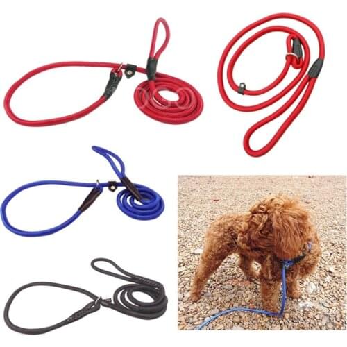 FOCUSIGN Leashes For Dogs