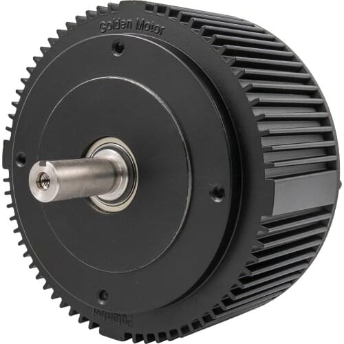 Электромобили GOLDEN MOTOR China At AliExpress