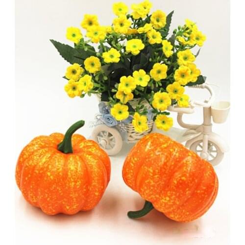 Hua Ming Ce Ornamental Vegetables