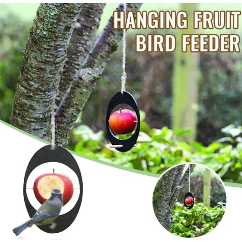 Parrots Fruit Fork Birds Feeder Food Holder Small Animal Stainless Steel Hang Cage Parakeet Food Skewer Holder Pet supplies