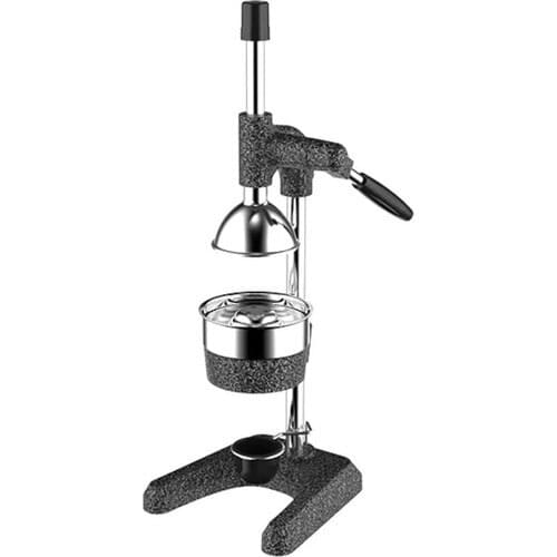 KALE Electric Fruit Juicers