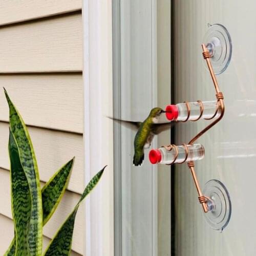 Suction Cup Bird Feeders Wall-mounted Window Hummingbird Feeding Garden Animals Glass Water Drinkers Bird Decorations Supplies