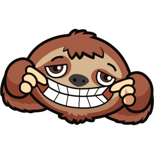 Funny Sloth Face Vinyl Sticker Decal Window Car Van Bike