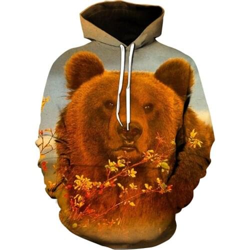 Harajuku cute bear hoodie 3D full print shirt hooded loose comfy top spring and autumn hooded sweatshirts for men and women