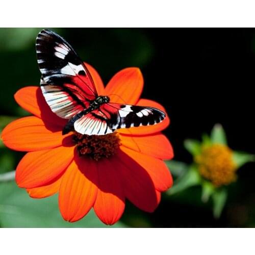 Diamond Embroidery Flower Series Full Square&Round Drill Handmade 5D Diy Diamond Painting Cross Stitch Diamond Mosaic Craftwork