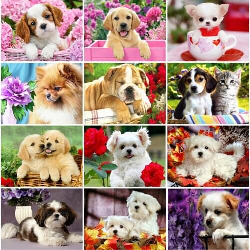 EverShine 5D DIY Diamond Painting Dog Full Drill Diamond Mosaic Animal Cross Stitch Kits Embroidery Rhinestones Decor For Home