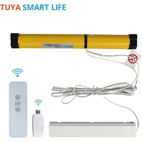 Tuya Smart Life WiFi Roller Shade Blind Motor Smart Rechargable Motor RF Control Google Home WiFi Blinds Motor Alexa Echo