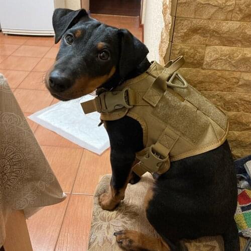 Balance Dog Harness With Handle Designer Dog Harness Gentle Leader Dog Harness Perfect Fit Harness Working Dog Harness Free Ship