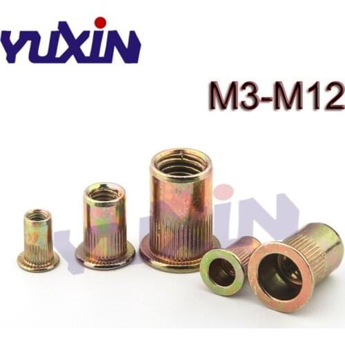 M3 M4 M5 M6 M8 M10 M12 Zinc Plated Carbon Steel Knurled Nuts Rivet nut Flat Head Threaded Rivet Insert Nutsert Cap Rivet Nut