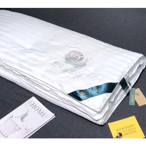Chinese Silk Quilt Winter Cotton Cover 100% Filled Silk King Queen Full Twin Size Silk Quilt Handwork Mulberry Silk Comforters