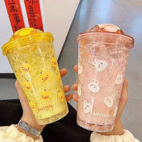 Double Ice Breaker Summer Cute Girl Cartoon Net Red Adult Student Straw Plastic Ice Cup Fashion Korean Cup