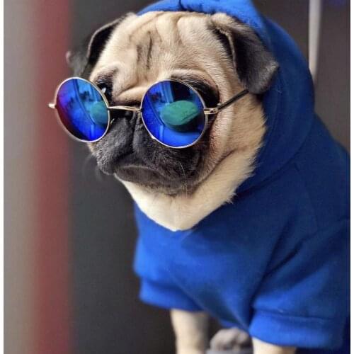 French Bulldog Winter Warm Hoodie Pet Dog Clothes Puppy Jacket Coat Schnauzer Chihuahua Corgi Shiba Inu Teddy Dropshipping TPC12