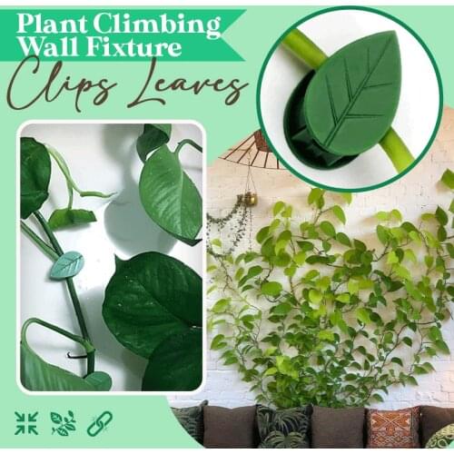 10 PCS Self-Adhesive Vine Fixed Clip Leaf Shape Cable для сада Organizer Decorative Wire Clamp for Cord Home Office Planting