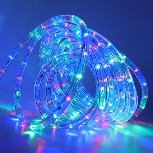 AC 110V Round Two-wire LED Strip 30 LEDs/m Flexible LED Neon Sign Waterproof LED Round Tube Ribbon with US Plug for Decoratio