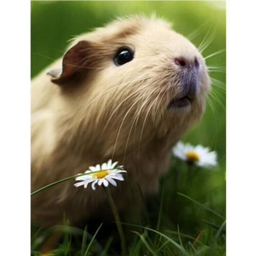 5D Full Square Round DIY Diamond Painting Mouse Animal Cross Stitch Embroidery Mosaic Home Wedding Decoration Birthday Gift