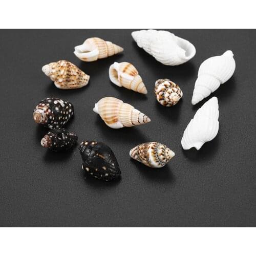 50g/lot Natural Nonporous Conch Shells Mini Conch DIY Craft Conch Shell For Pendant Necklace Jewelry Making Accessories