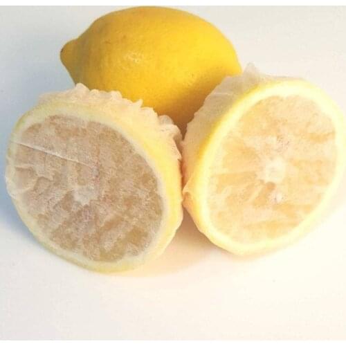 Modern Wildlebend Limon Cap/250 Pcs/Herbal tea Cap чайник tea set чайник заварочный teapot أواني الشاي