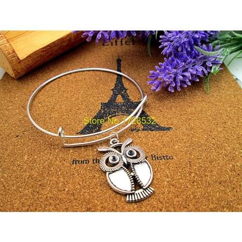 3pcs/lot Hot sale diameter 65mm bracelets bangles silver bangle with lovely owl jewelry for women